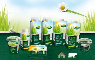 Bio Milchprodukte _ DesignKis für Arla _ PS + AI