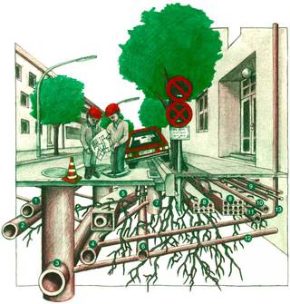 Straßenbäume _ G&J Flora _ Marker / Buntstift